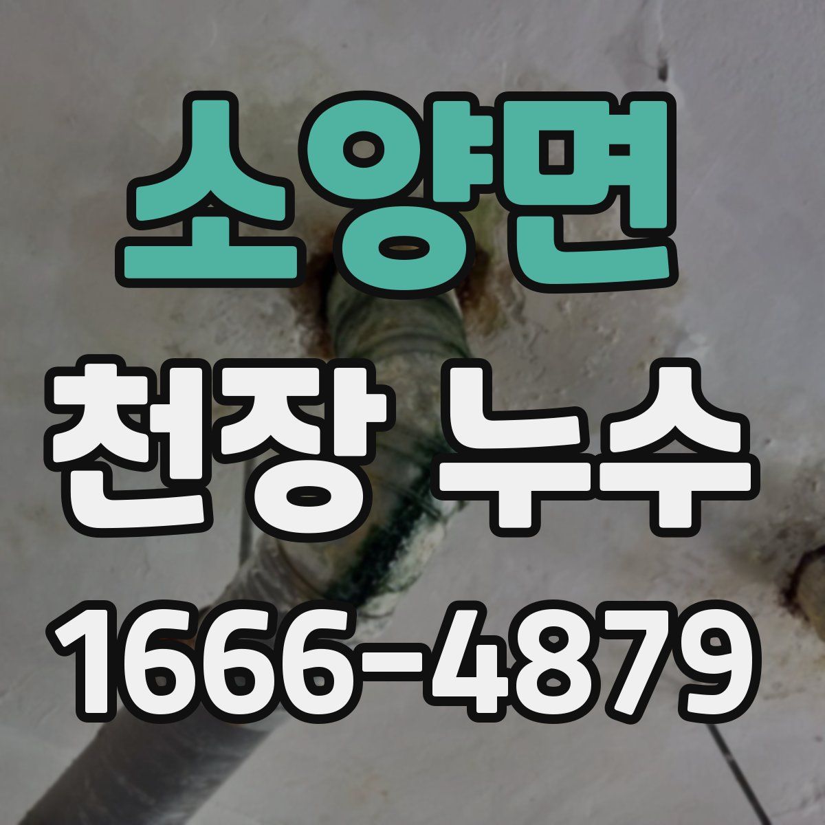 소양면 천장 누수