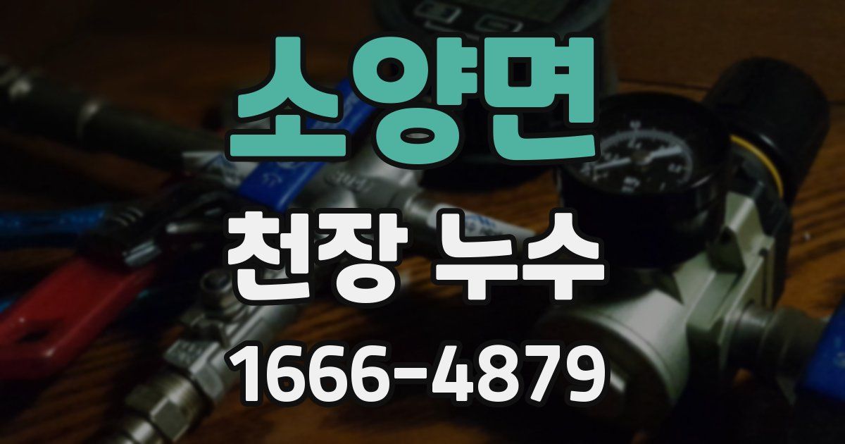 소양면 천장 누수