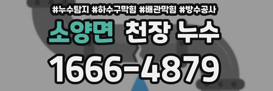 소양면 천장 누수
