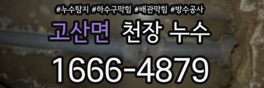 고산면 천장 누수