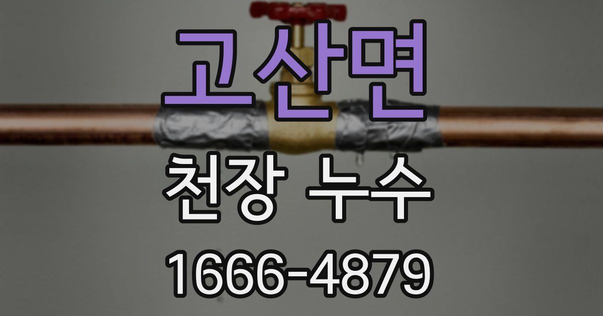 고산면 천장 누수