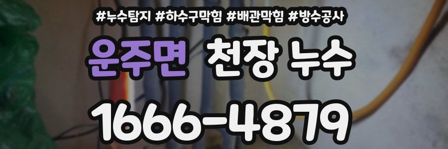 운주면 천장 누수