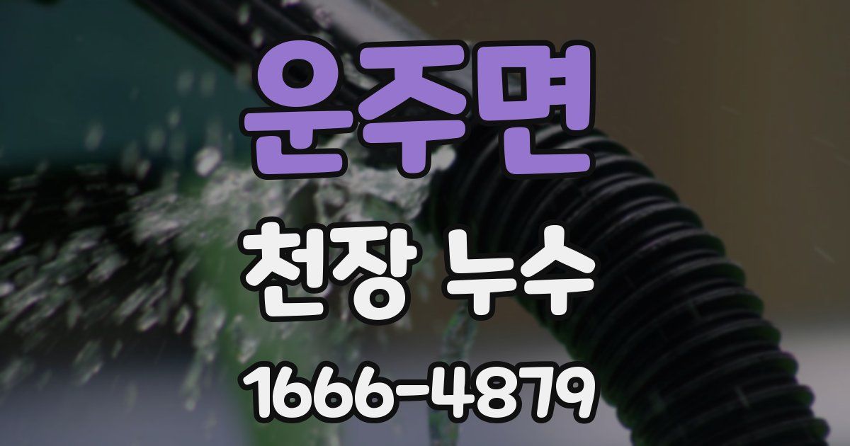 운주면 천장 누수