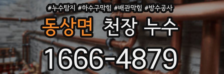 동상면 천장 누수