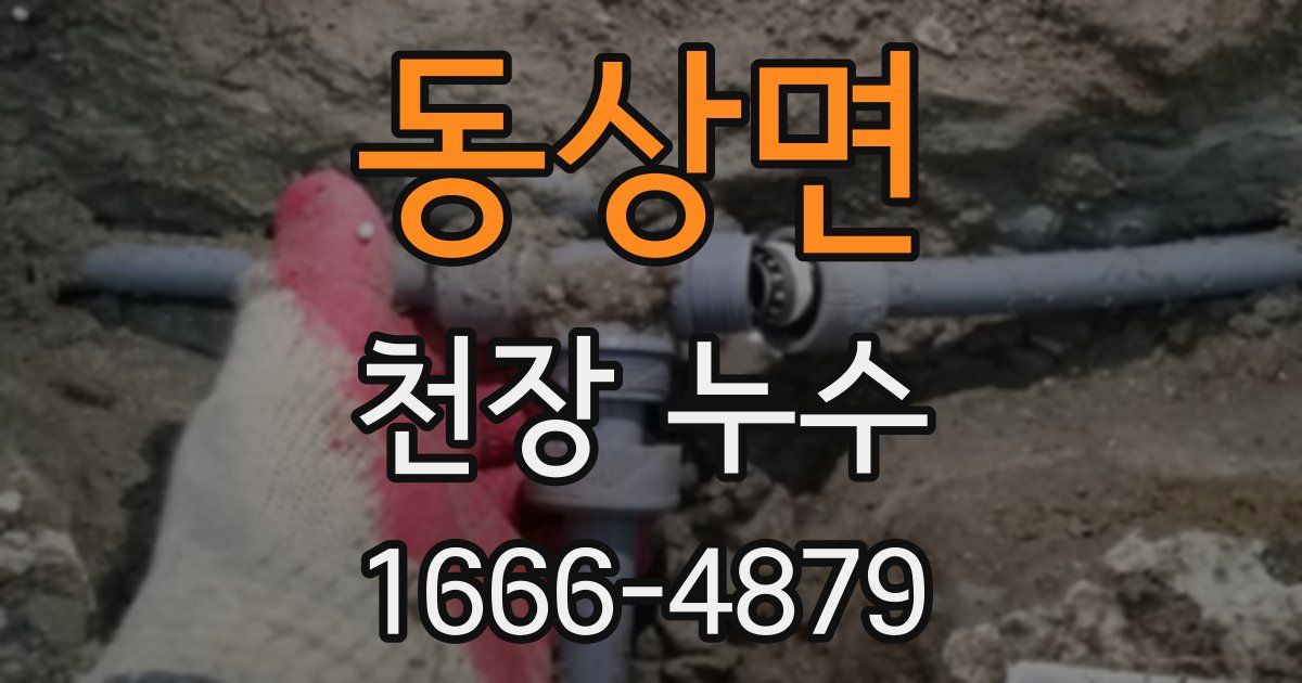 동상면 천장 누수