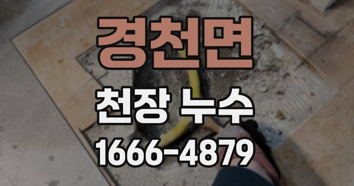 경천면 천장 누수