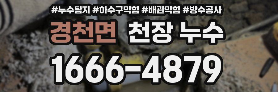 경천면 천장 누수