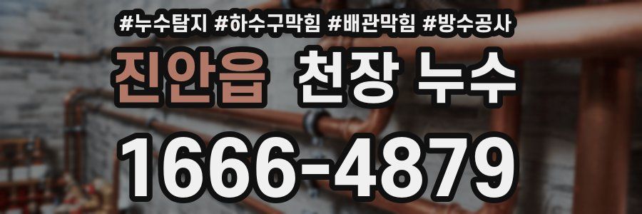 진안읍 천장 누수