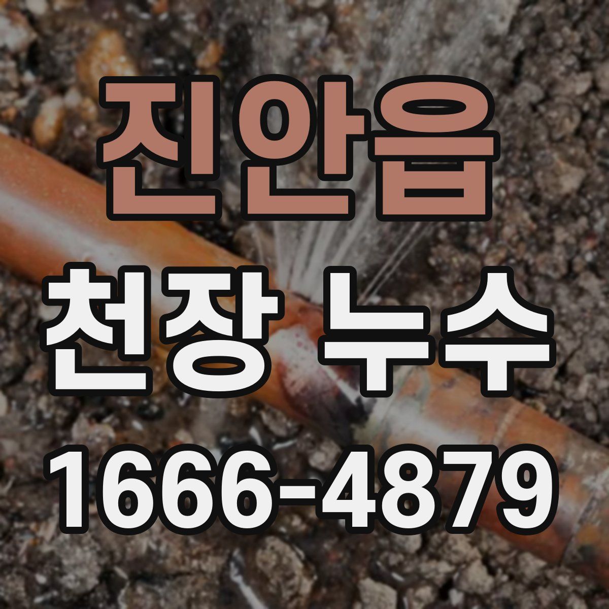 진안읍 천장 누수