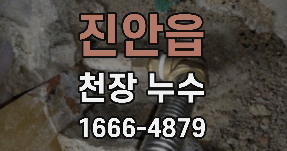 진안읍 천장 누수
