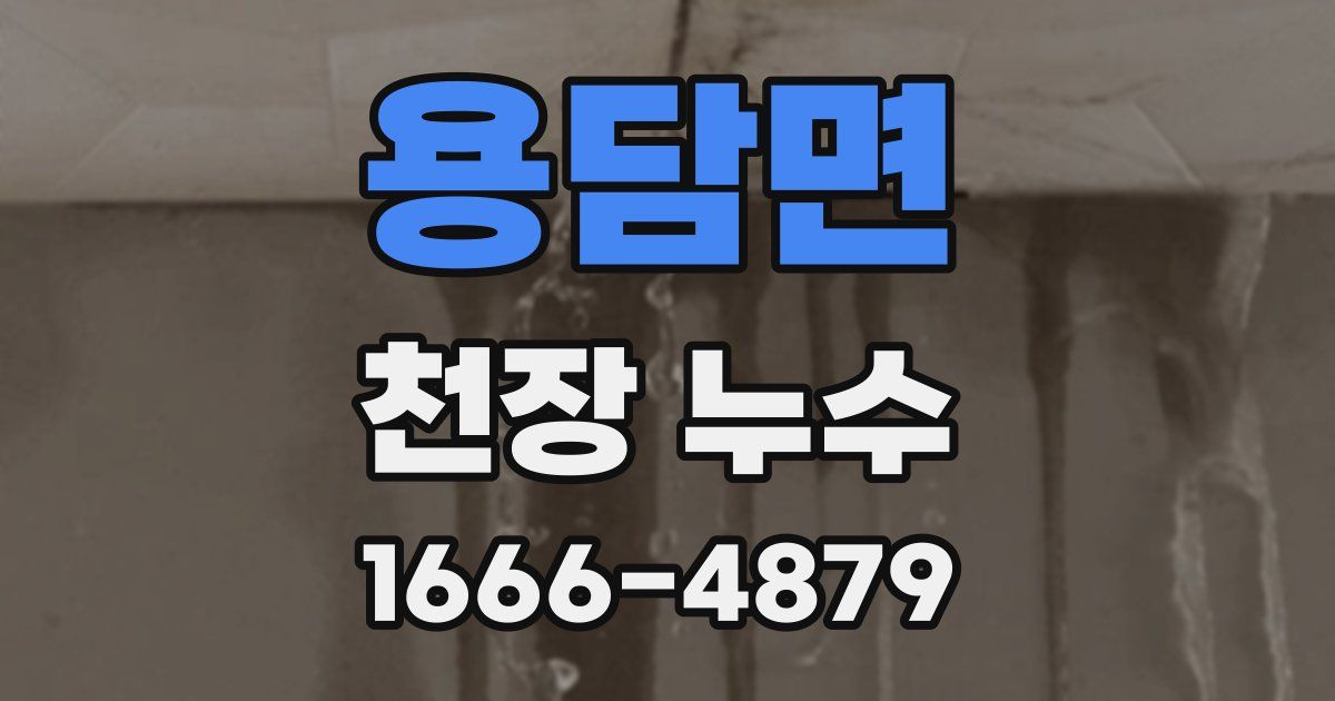 용담면 천장 누수
