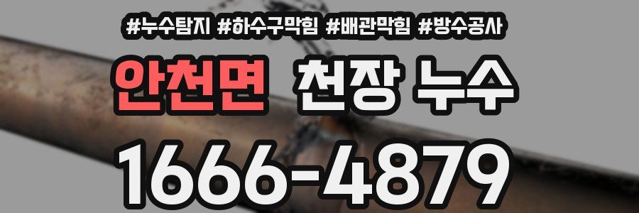 안천면 천장 누수