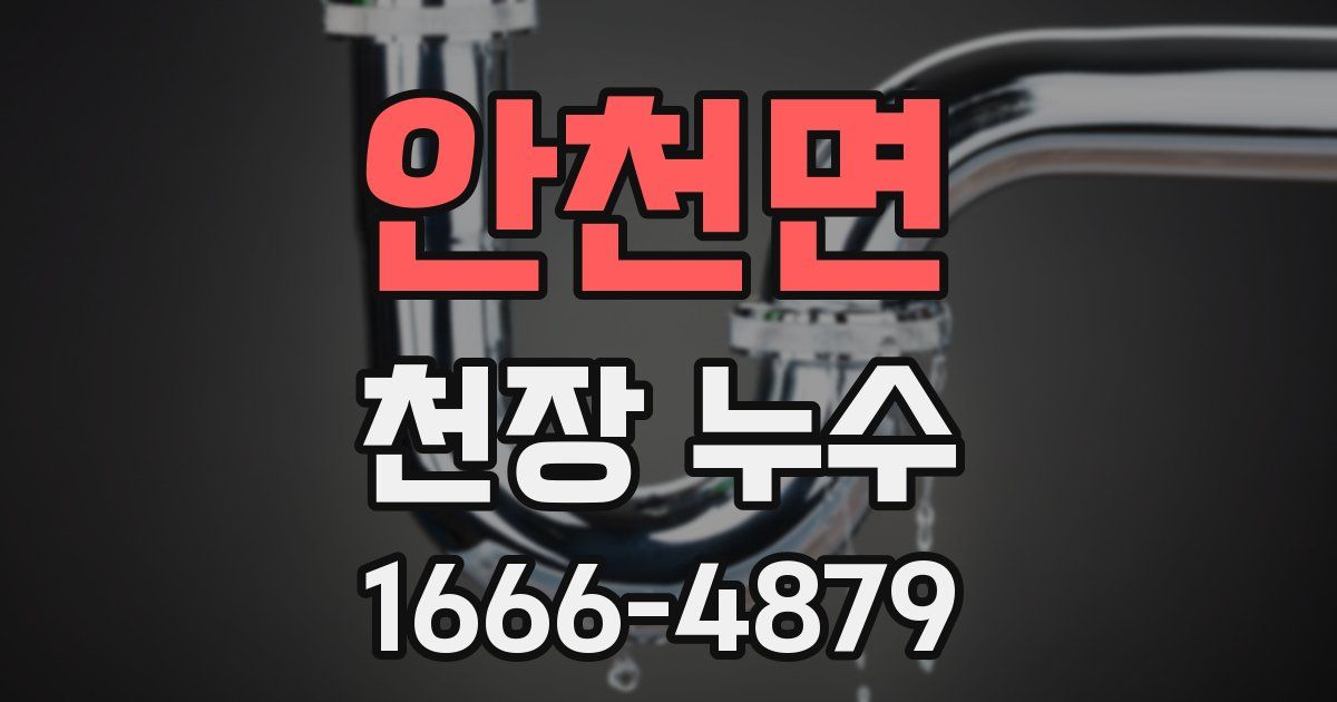 안천면 천장 누수
