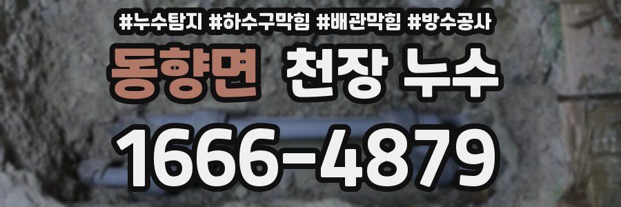 동향면 천장 누수