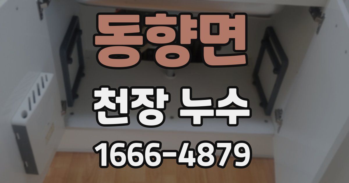 동향면 천장 누수