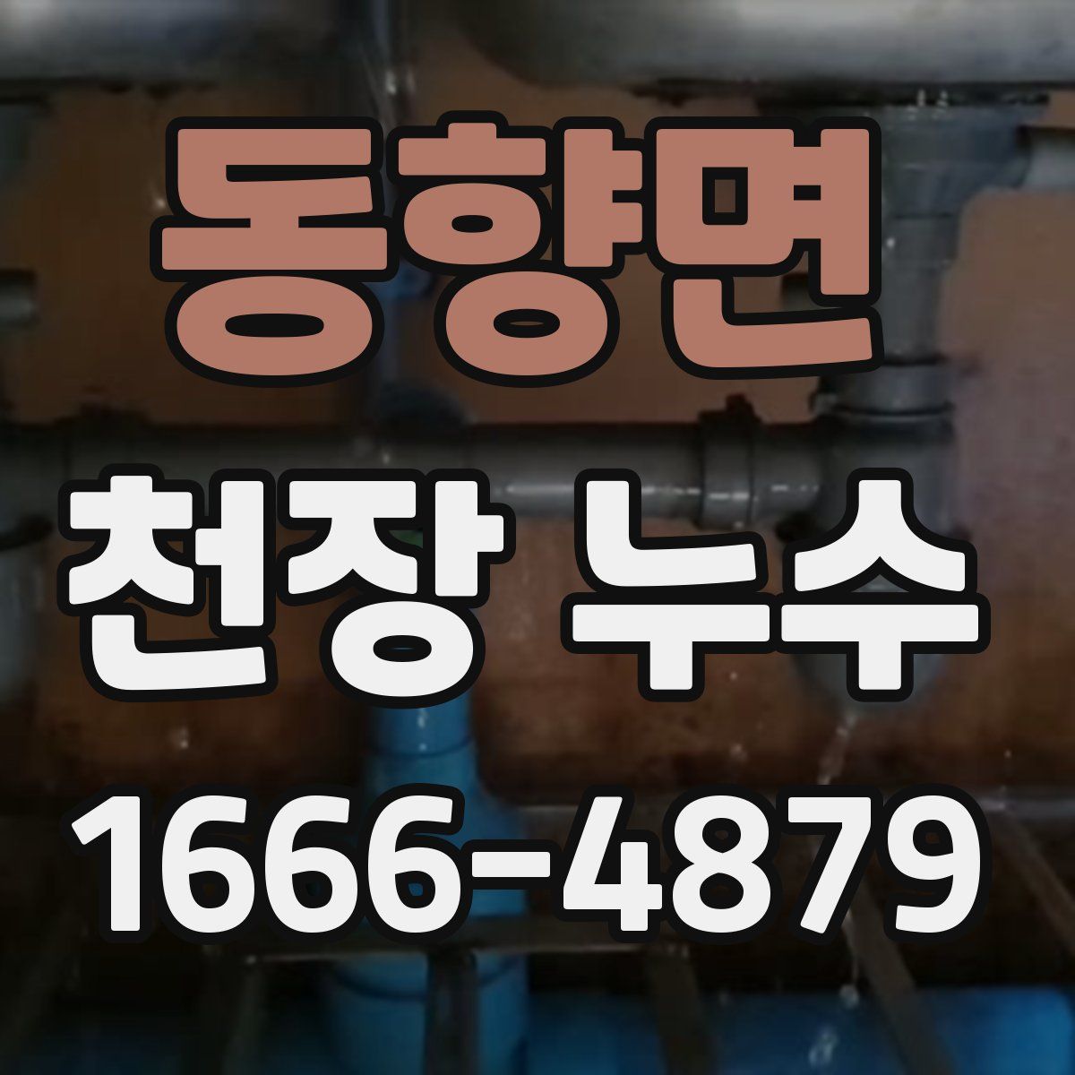동향면 천장 누수