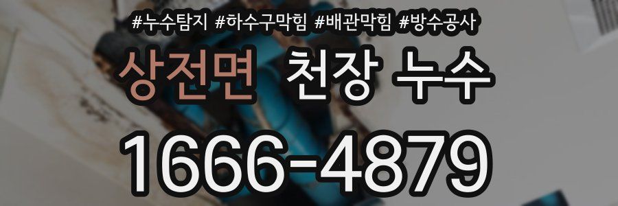 상전면 천장 누수