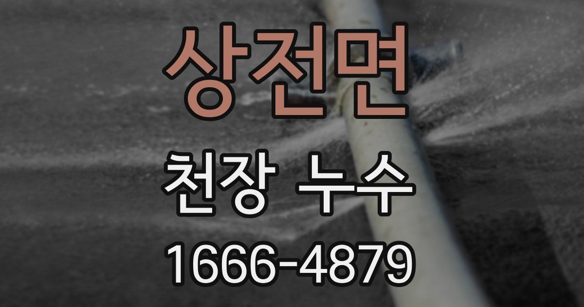 상전면 천장 누수