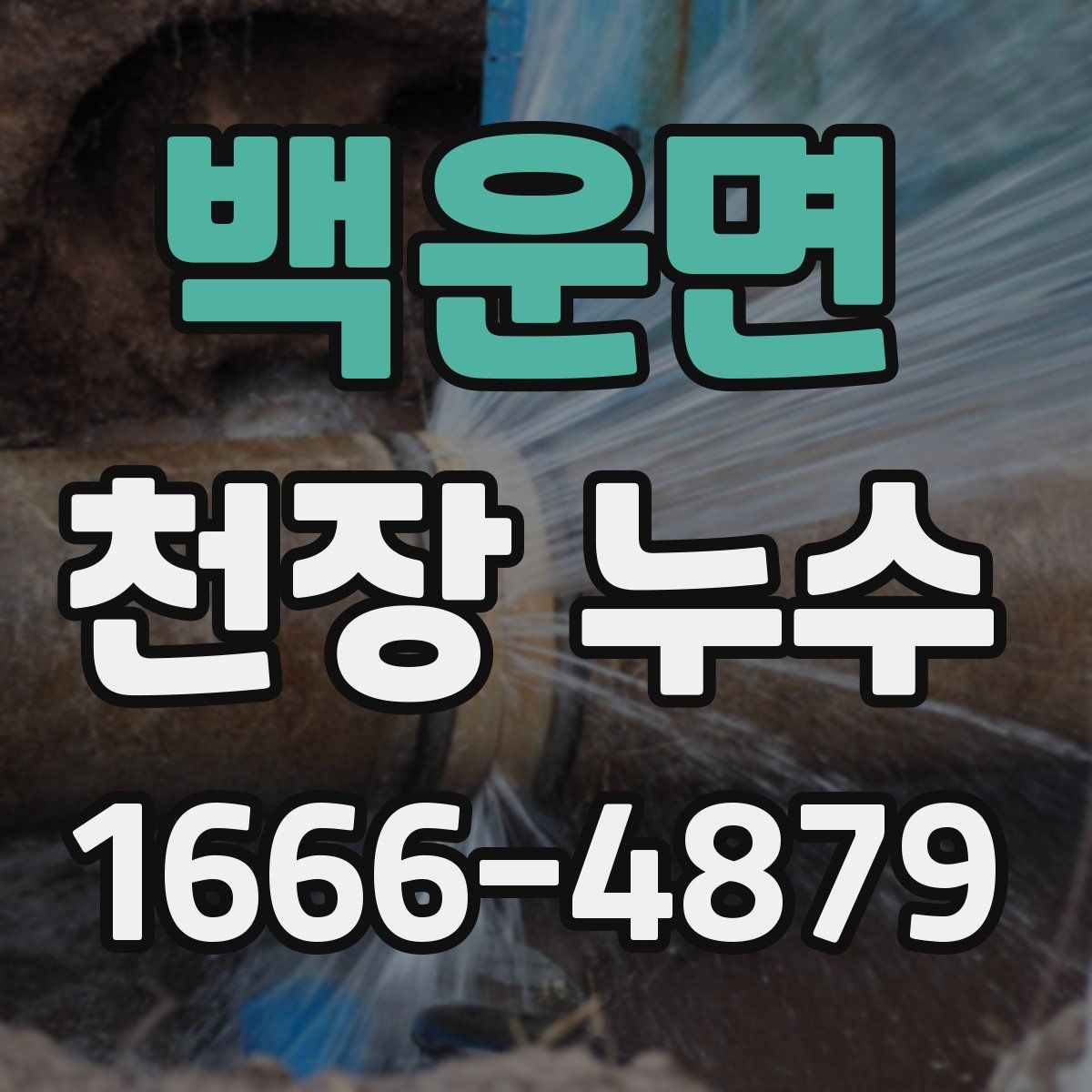 백운면 천장 누수