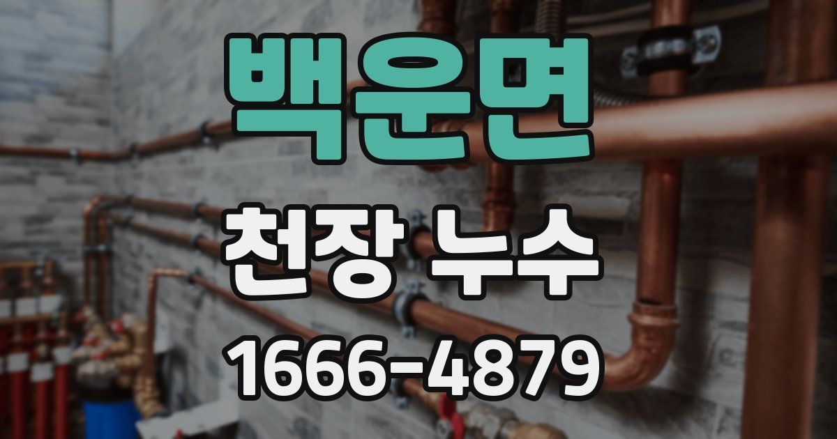 백운면 천장 누수
