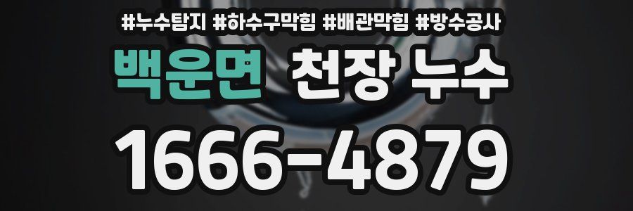 백운면 천장 누수