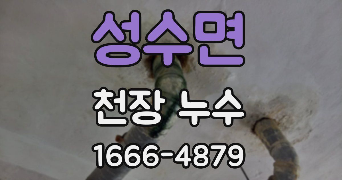 성수면 천장 누수