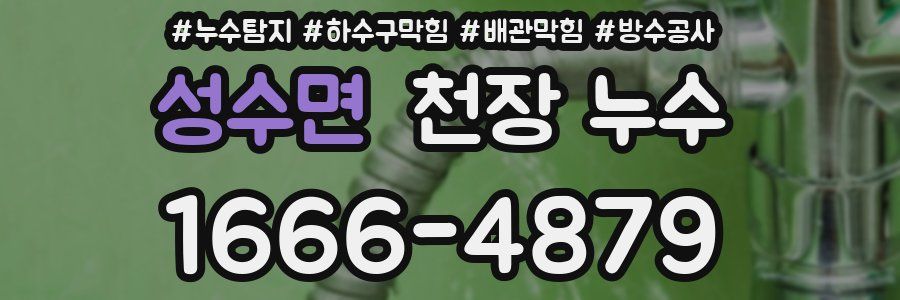 성수면 천장 누수