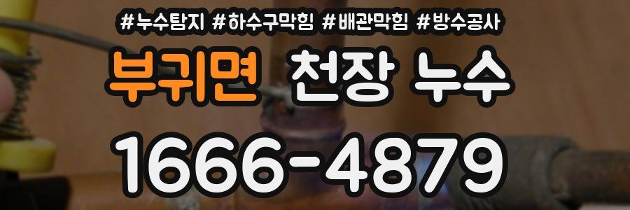 부귀면 천장 누수