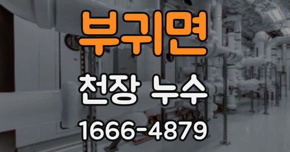 부귀면 천장 누수