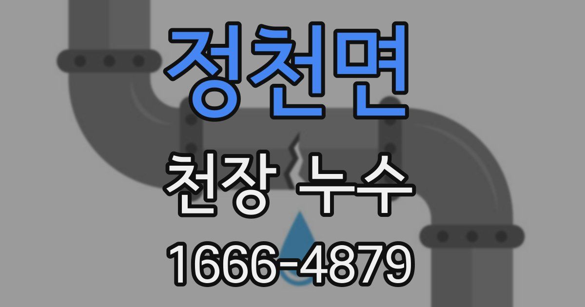 정천면 천장 누수