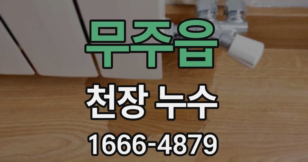 무주읍 천장 누수
