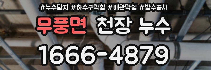무풍면 천장 누수