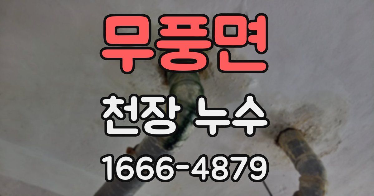무풍면 천장 누수
