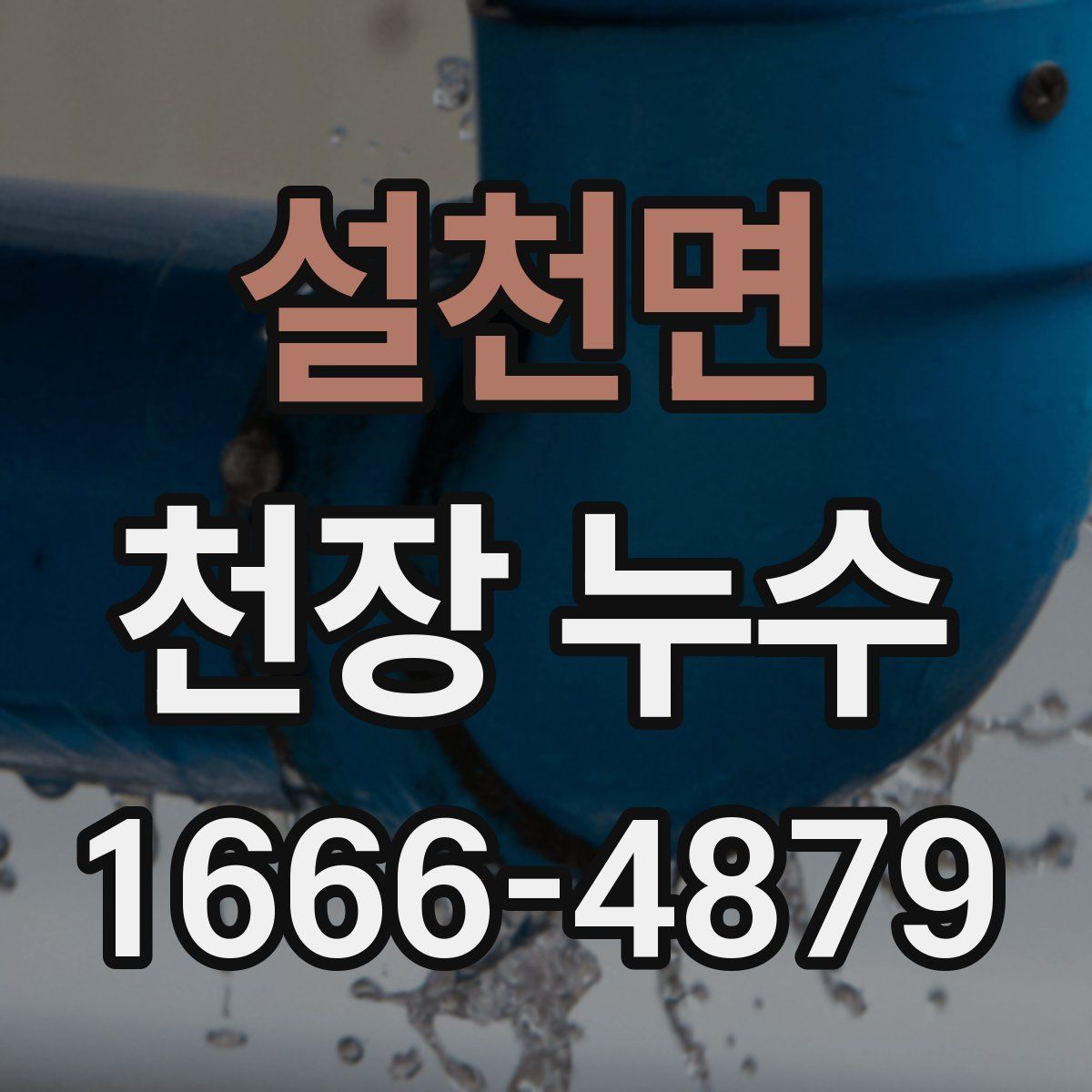 설천면 천장 누수