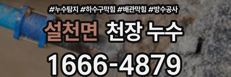 설천면 천장 누수