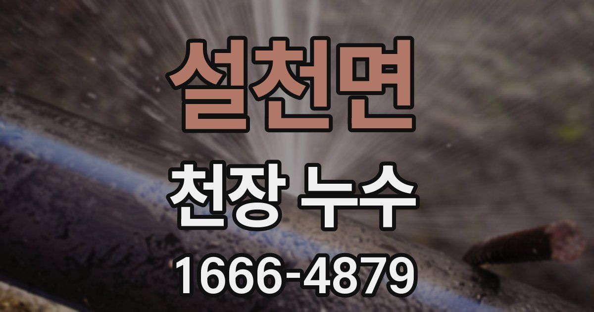 설천면 천장 누수