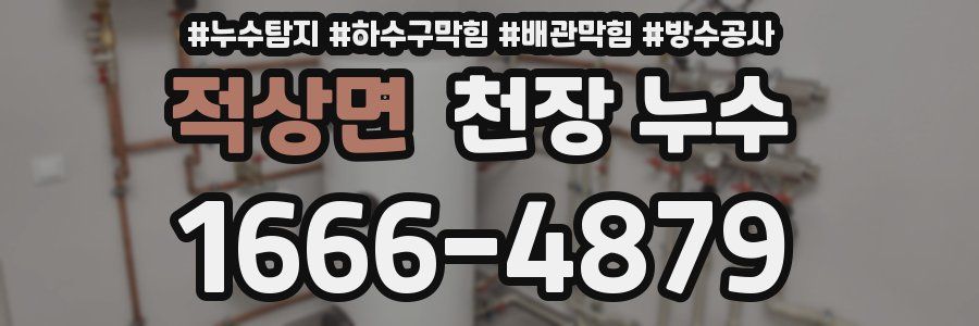 적상면 천장 누수
