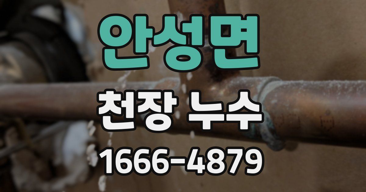 안성면 천장 누수