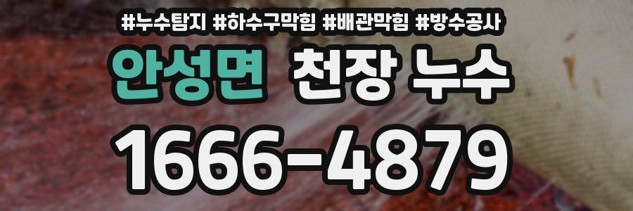 안성면 천장 누수