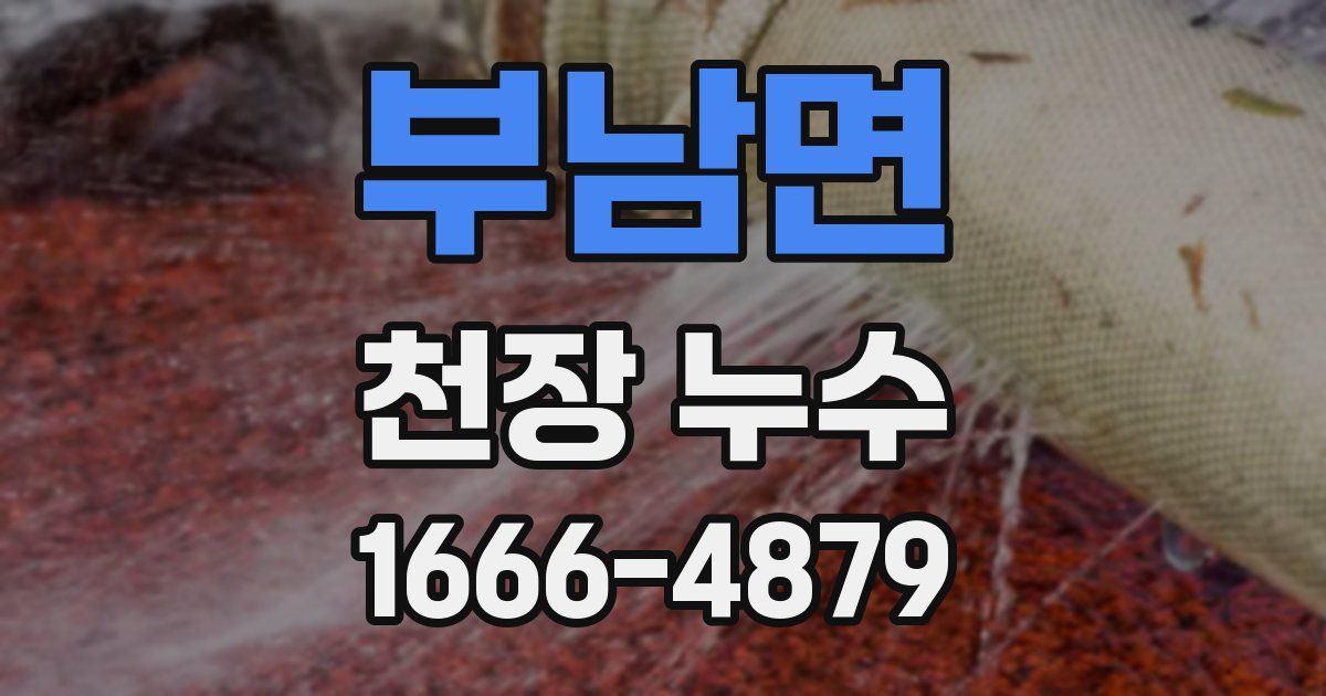 부남면 천장 누수