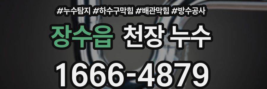 장수읍 천장 누수
