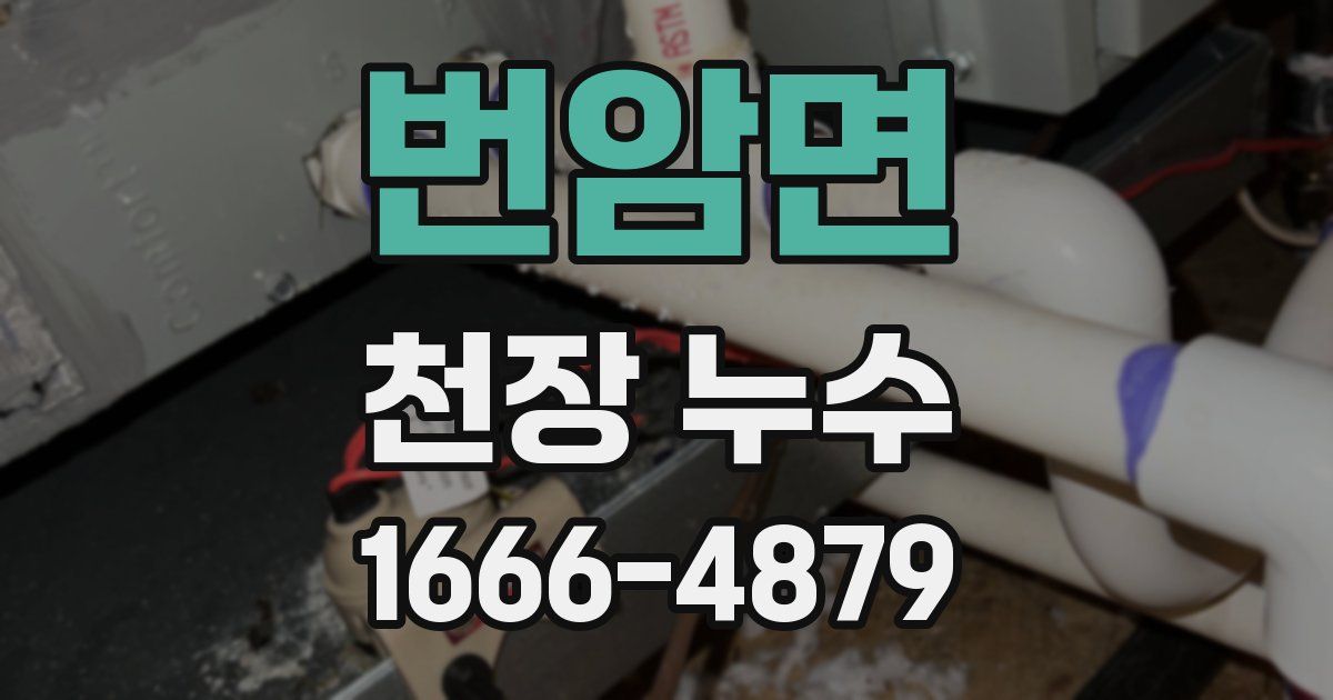 번암면 천장 누수