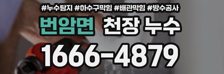 번암면 천장 누수