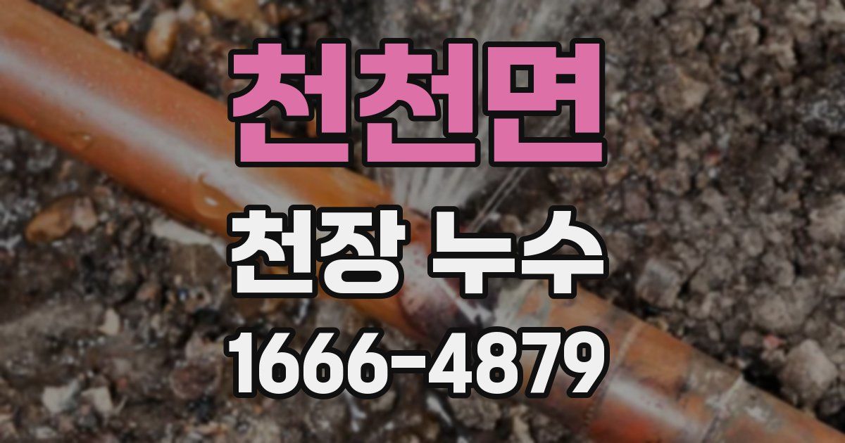 천천면 천장 누수
