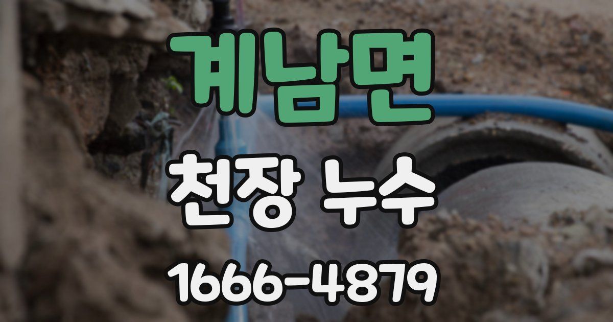 계남면 천장 누수