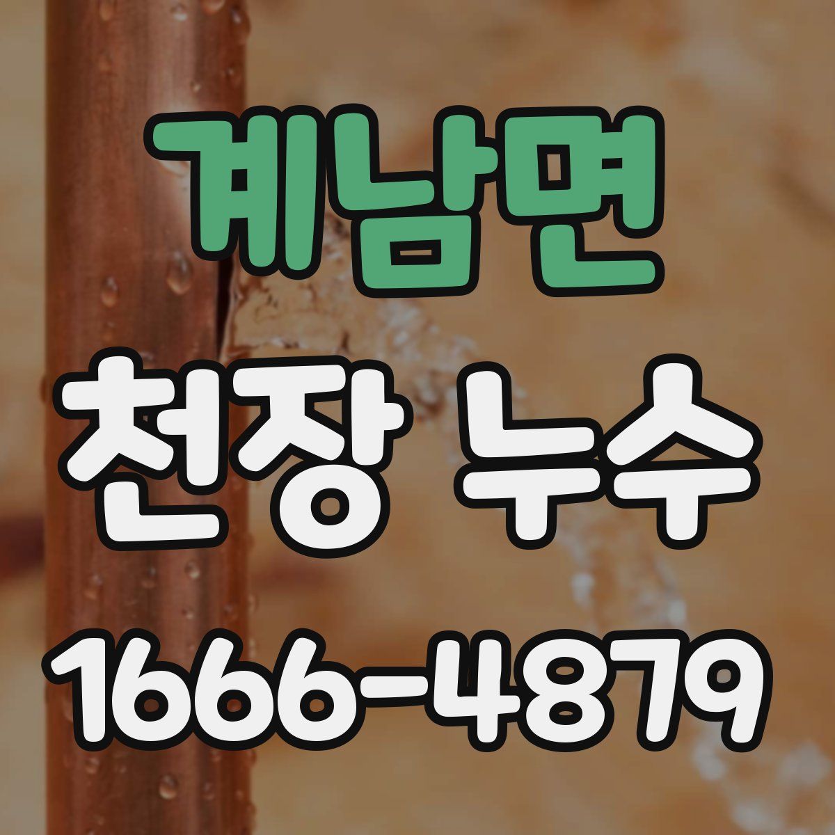 계남면 천장 누수