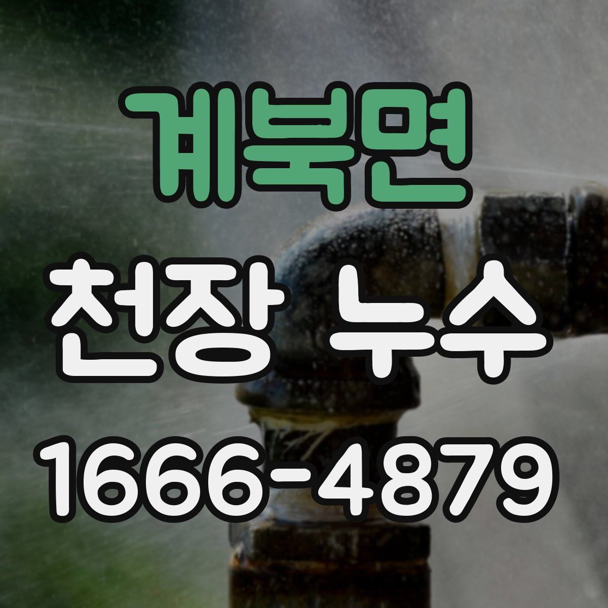 계북면 천장 누수