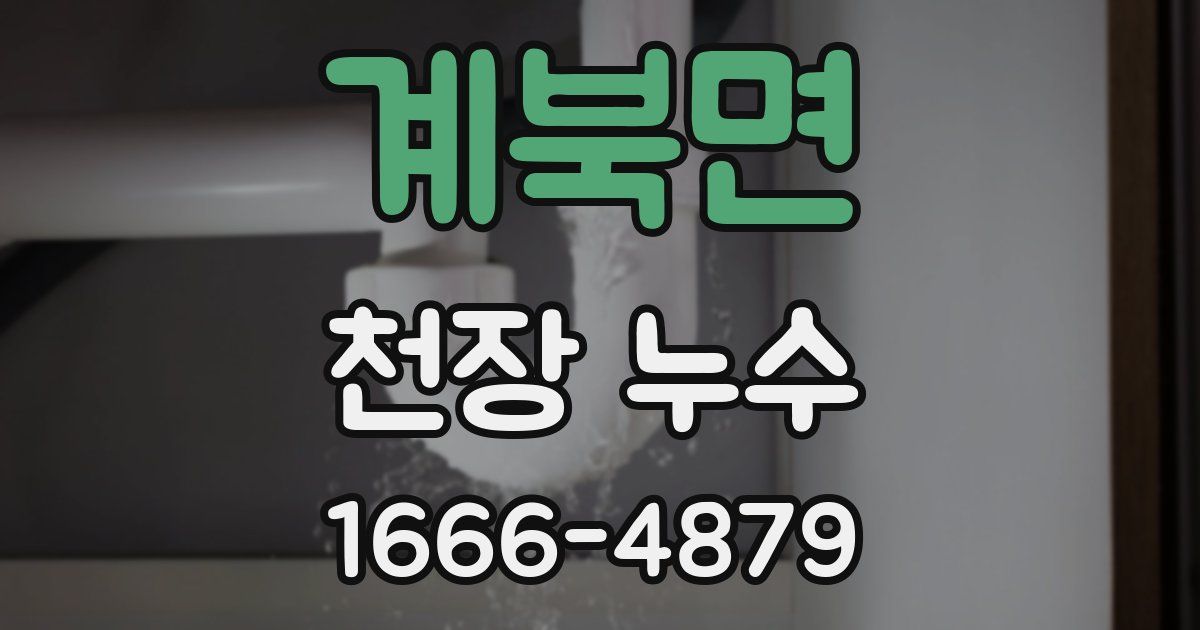 계북면 천장 누수