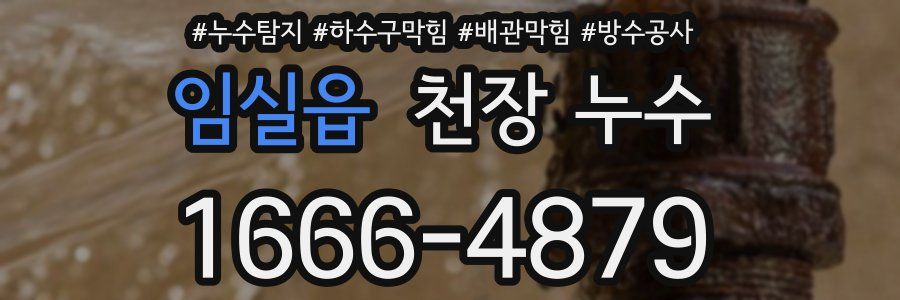 임실읍 천장 누수