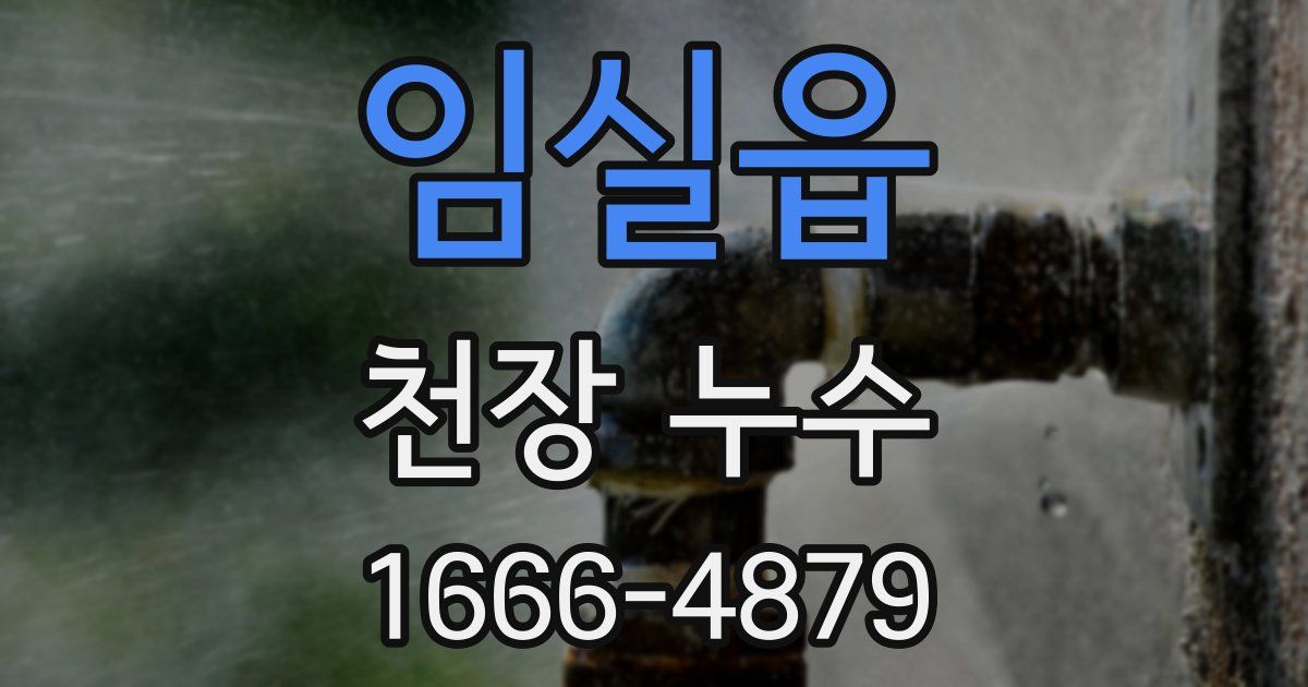 임실읍 천장 누수